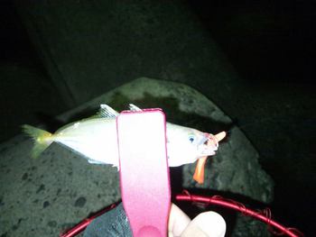 さっぱりです。