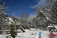 *雪中キャンプ 燃料編 *