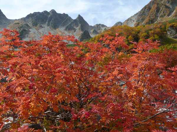 今年度を振り返って