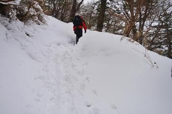 雪のタロー (剣山) ♪