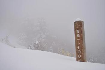 雪のタロー (剣山) ♪