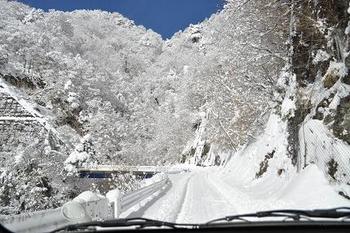 飽きもせずまたもタローなりよ☆(剣山1954.7m)