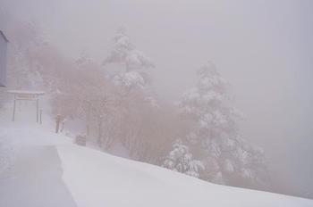 雪のタロー (剣山) ♪