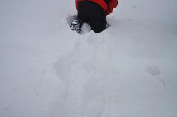 雪のタロー (剣山) ♪