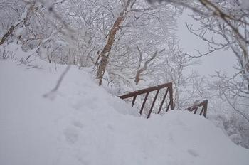 雪のタロー (剣山) ♪