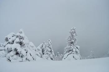雪のタロー (剣山) ♪