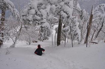 雪のタロー (剣山) ♪