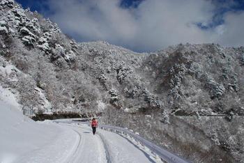 飽きもせずまたもタローなりよ☆(剣山1954.7m)