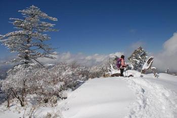 飽きもせずまたもタローなりよ☆(剣山1954.7m)