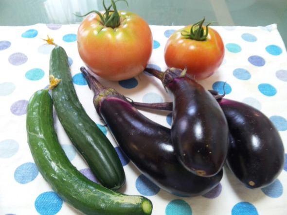 とれたて新鮮野菜!