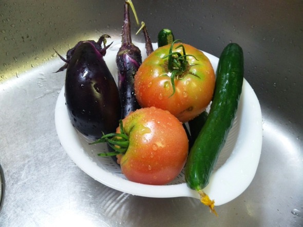 とれたて新鮮野菜!