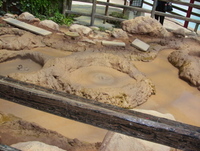 阿蘇 歌瀬キャンプ場 其の二