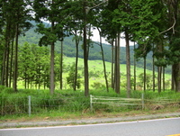 阿蘇 歌瀬キャンプ場 其の三