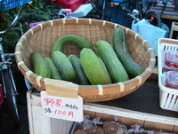 阿蘇 歌瀬キャンプ場 其の五