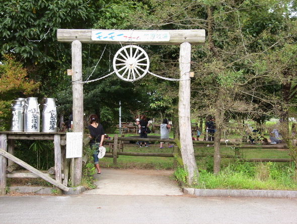 阿蘇 歌瀬キャンプ場 其の五