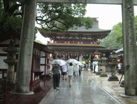 阿蘇 歌瀬キャンプ場 場外