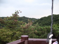 しあわせの村 又も雨キャン