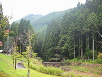 新田ふるさと村 再会キャンプ