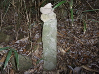 羽束山登山その3 山頂へ