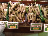 突撃・焼津魚センター