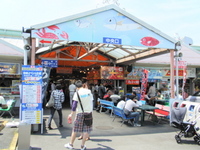 突撃・焼津魚センター