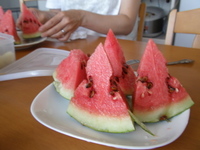 石垣島のパイン畑
