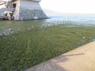 台風後の琵琶湖の様子