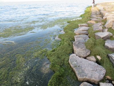 台風後の琵琶湖の様子