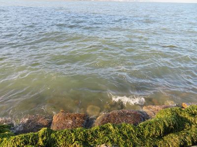 台風後の琵琶湖の様子