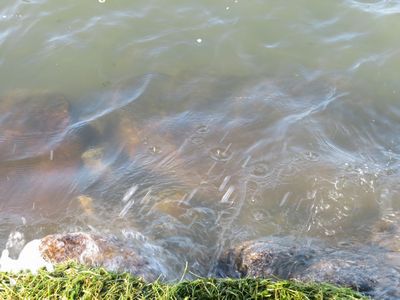 台風後の琵琶湖の様子