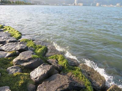 台風後の琵琶湖の様子