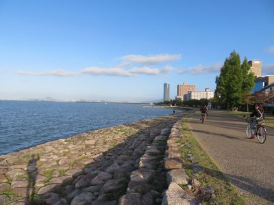 台風後の琵琶湖の様子