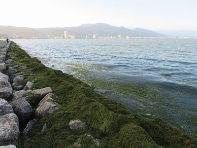 台風後の琵琶湖の様子