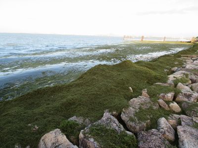 台風後の琵琶湖の様子