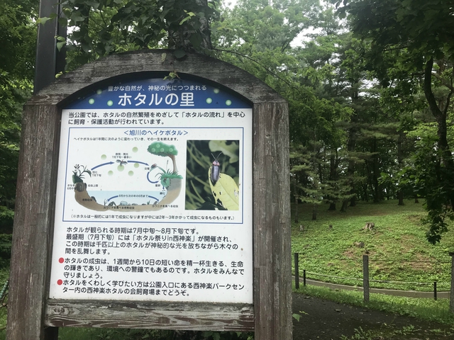 雨の拉致キャンプ!西神楽キャンプ場 7月1日~2日 雨の拉致キャンプ!西神楽キャンプ場 7月1日~2日