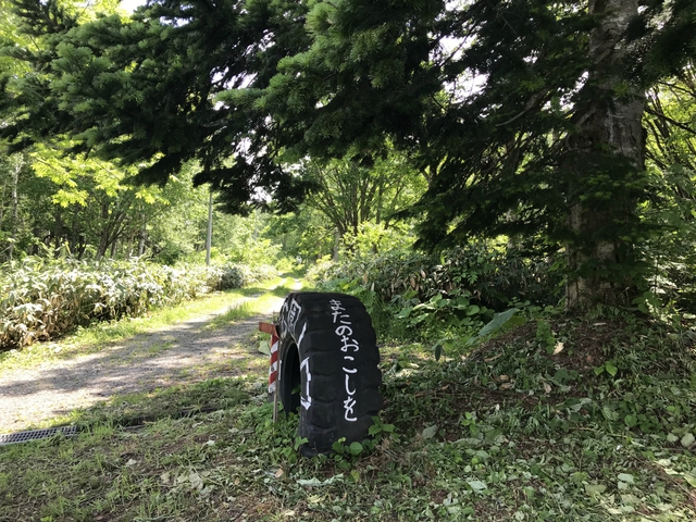 で・・・でた。オ・・・オバケ? 鷹泊自然公園 6月23日~24日 で・・・でた。オ・・・オバケ? 鷹泊自然公園 6月23日~24日