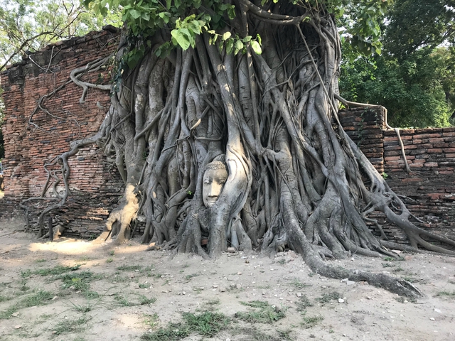 タイに行きタイ② タイに行きタイ②