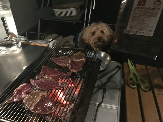 就活キャンプ!?ラスト朱鞠内10月28日~30日 就活キャンプ!?ラスト朱鞠内10月28日~30日
