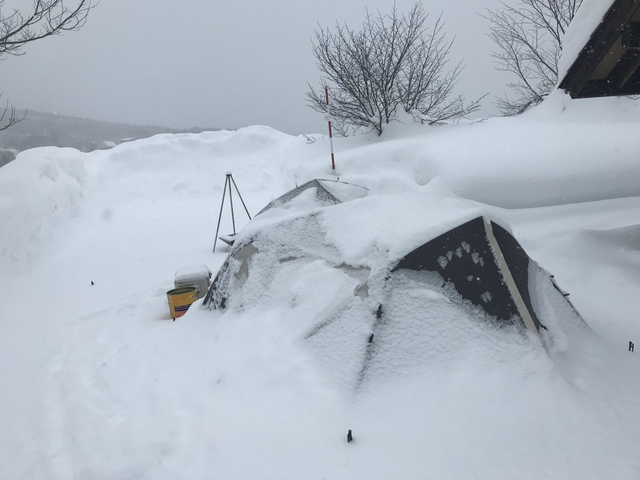 新幕試し張り!豪雪キャンプ エルム高原家族旅行村 1月28日~29日 新幕試し張り!豪雪キャンプ エルム高原家族旅行村 1月28日~29日