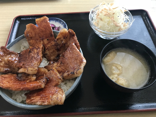 新幕試し張り!豪雪キャンプ エルム高原家族旅行村 1月28日~29日 新幕試し張り!豪雪キャンプ エルム高原家族旅行村 1月28日~29日