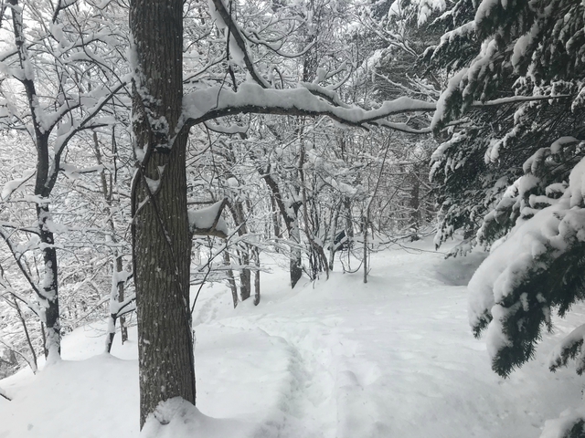 豪雪にもめげないキャンパー達!エルム高原家族旅行村2月10日~12日 豪雪にもめげないキャンパー達!エルム高原家族旅行村2月10日~12日