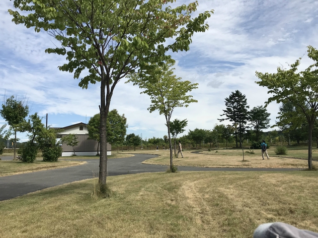 ジェダイルークもびっくりなハンソロ。 吉野公園キャンプ場 8月4日~5日 ジェダイルークもびっくりなハンソロ。 吉野公園キャンプ場 8月4日~5日