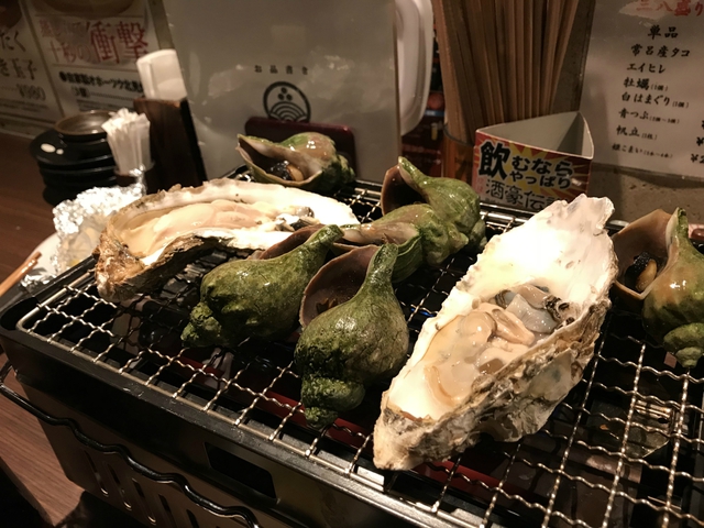 2週連続低気圧、キャンプ行けないね‥‥よし!知床行こう。11月18日~11月20 2週連続低気圧、キャンプ行けないね‥‥よし!知床行こう。11月18日~11月20
