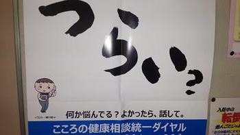 ブログだけ再開