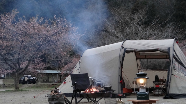 3月キャンプ！は雪見桜？