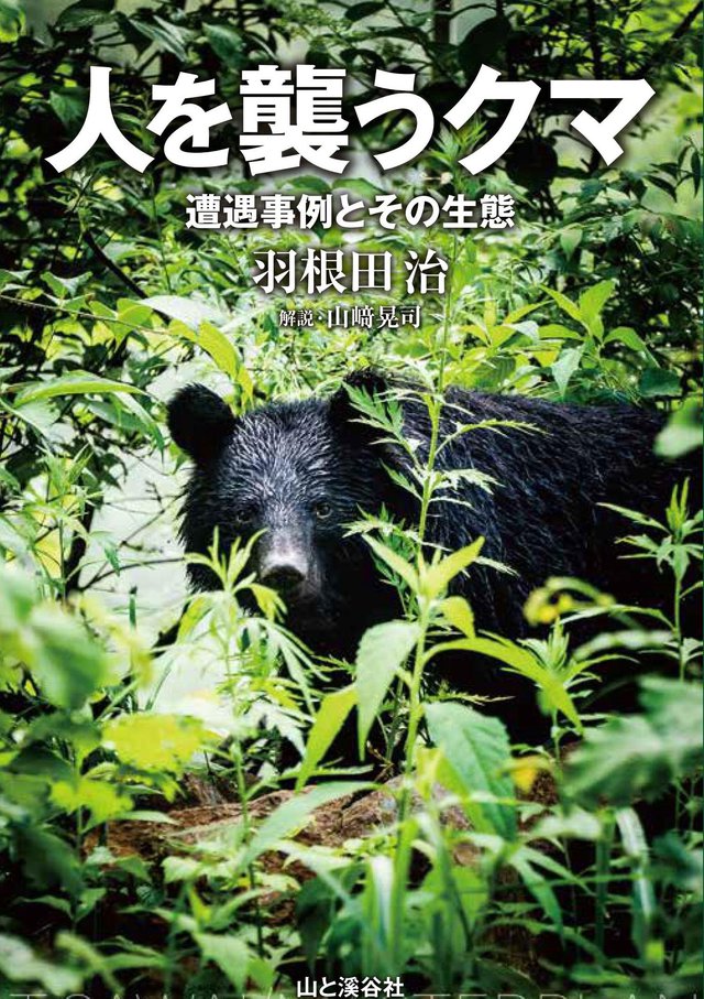 人を襲うクマ 遭遇事例とその生態 カムエク事故と最近の事例から 人を襲うクマ 遭遇事例とその生態 カムエク事故と最近の事例から