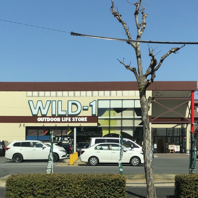 【偵察】WILD-1 ワイルドワン その2 【偵察】WILD-1 ワイルドワン その2