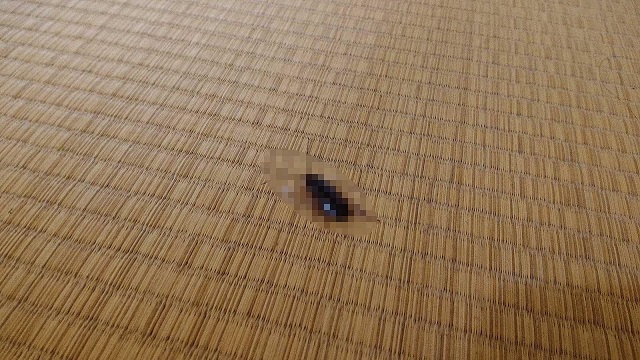 【閲覧注意】アウトドアギャング襲来~リターンズ~ 【閲覧注意】アウトドアギャング襲来~リターンズ~