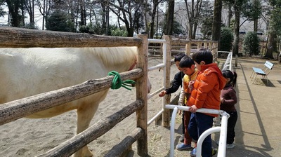 またまた智光山でベンサン軍隊キャンプ 2017.3.11〜12 またまた智光山でベンサン軍隊キャンプ 2017.3.11〜12