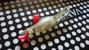 塗装してみよう! 塗装してみよう!